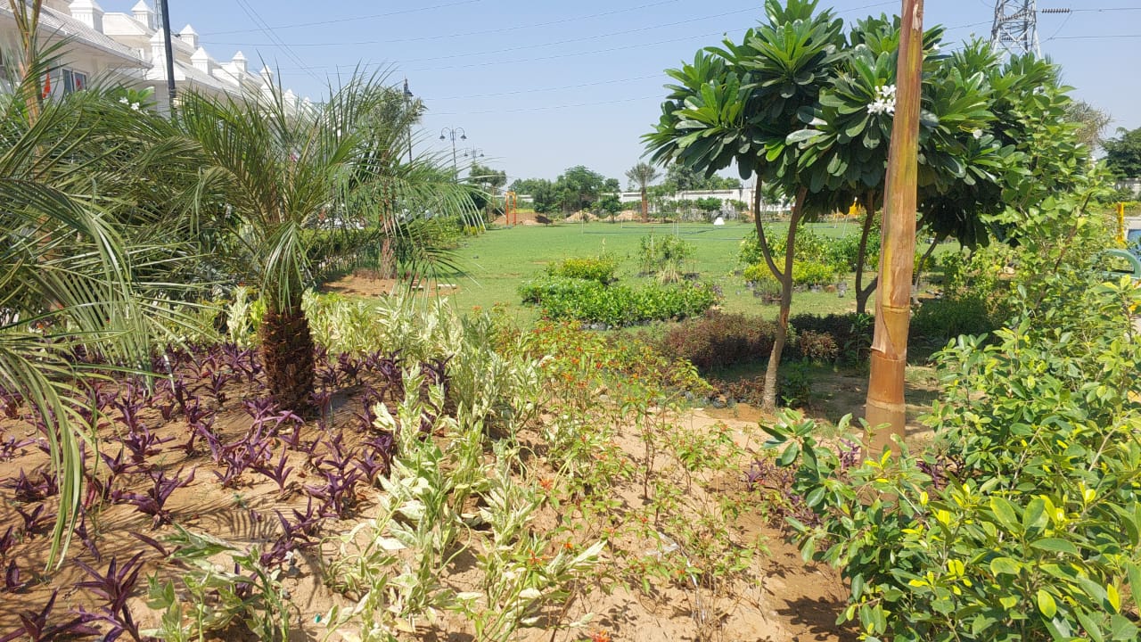 whatsapp image 2025 09 24 at 2.34.03 pm