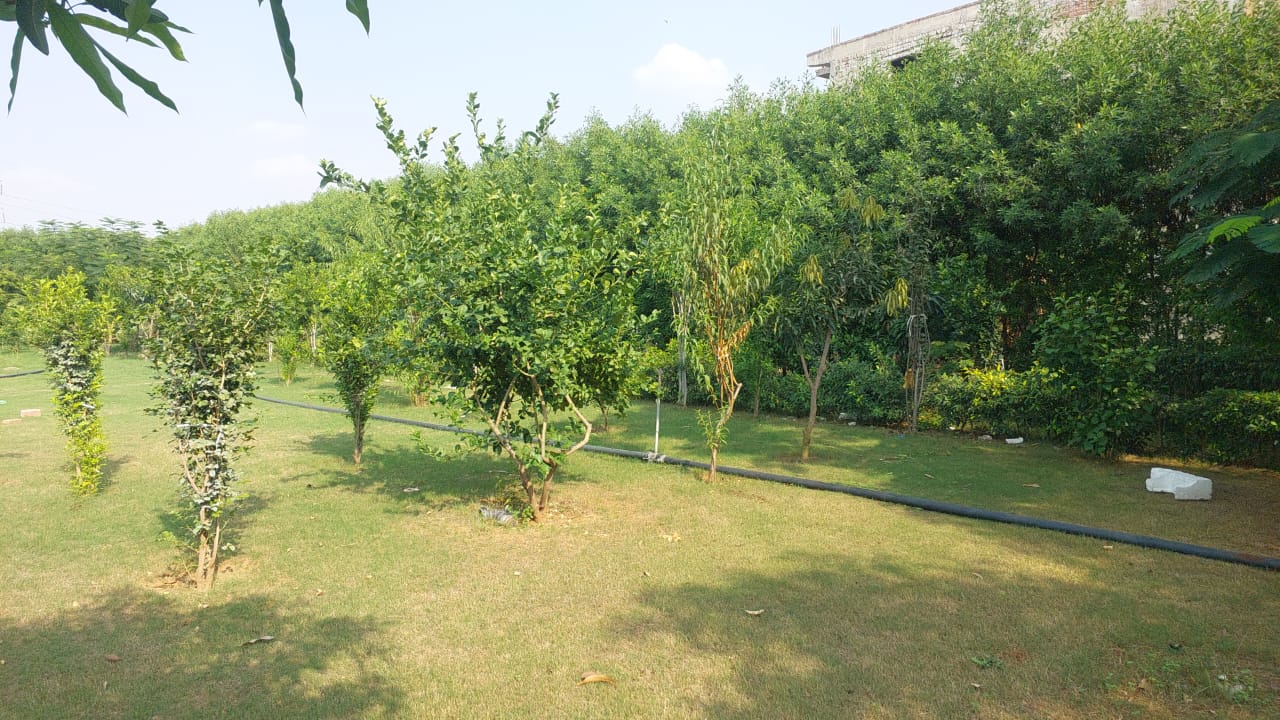 541109b4 ee81 4da2 87aa 8363db2ae1d5