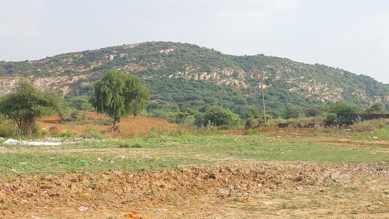 e0416f0b 7ed8 47f6 9039 3290abe2b982