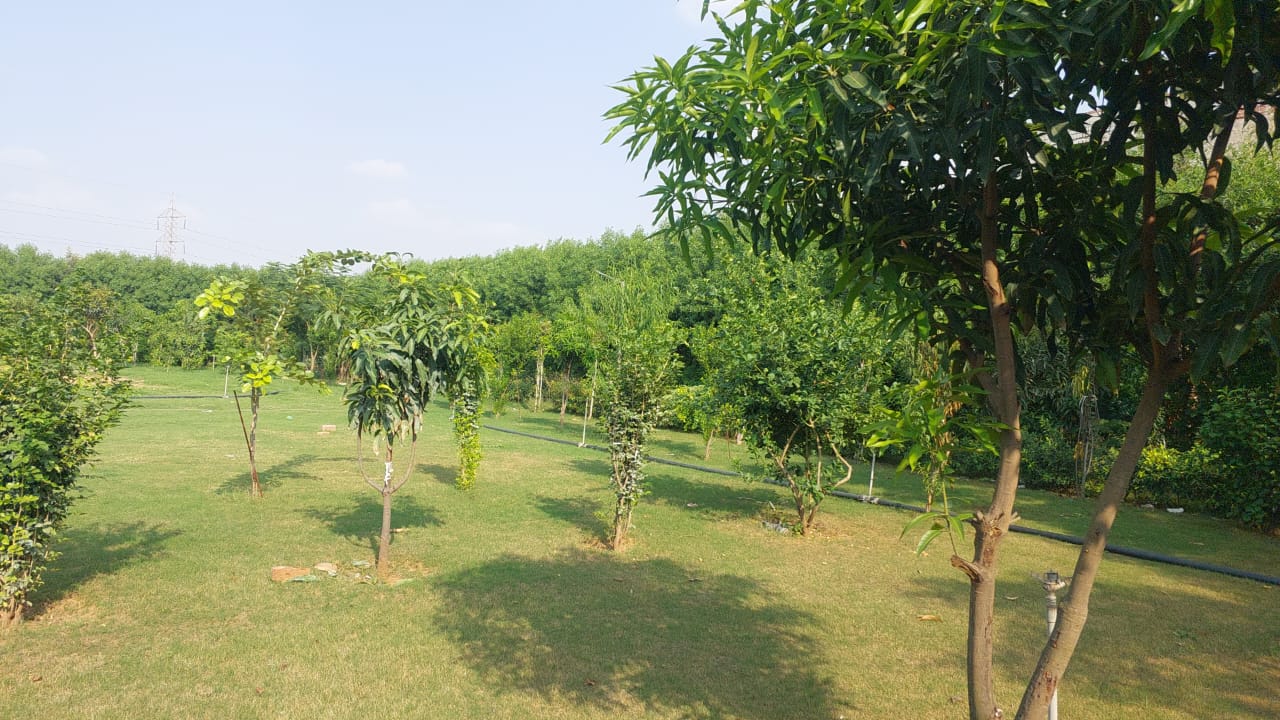 ffba535a 9633 4c09 b731 d999a7eac823